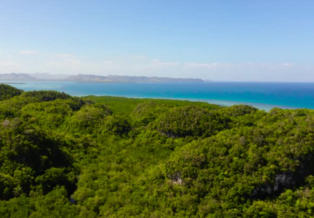 Aerial view of Los Haitises National Park with lush green mogote hills and turquoise coastal waters